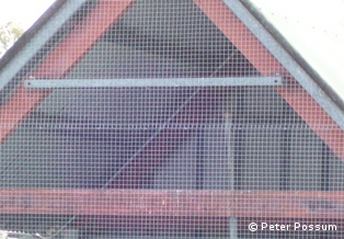 Pigeon control by excluding roosting sites