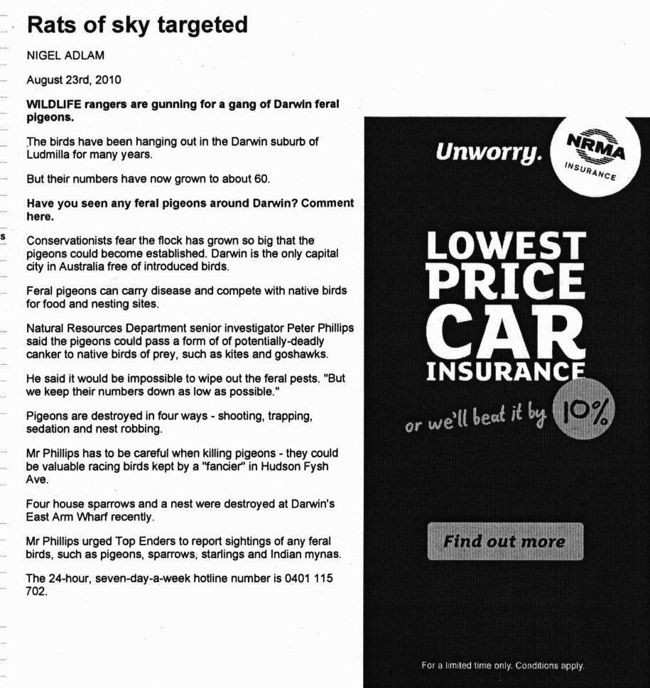 Rats of sky Targeted