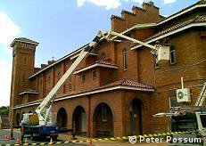 Pigeon eradication and pigeon control Pigeon eradication and pigeon control